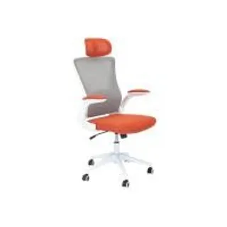 Rina Hey เก้าอี้สำนักงานเพื่อสุขภาพ ASTI สี เทา/ส้ม (MKP1710674)