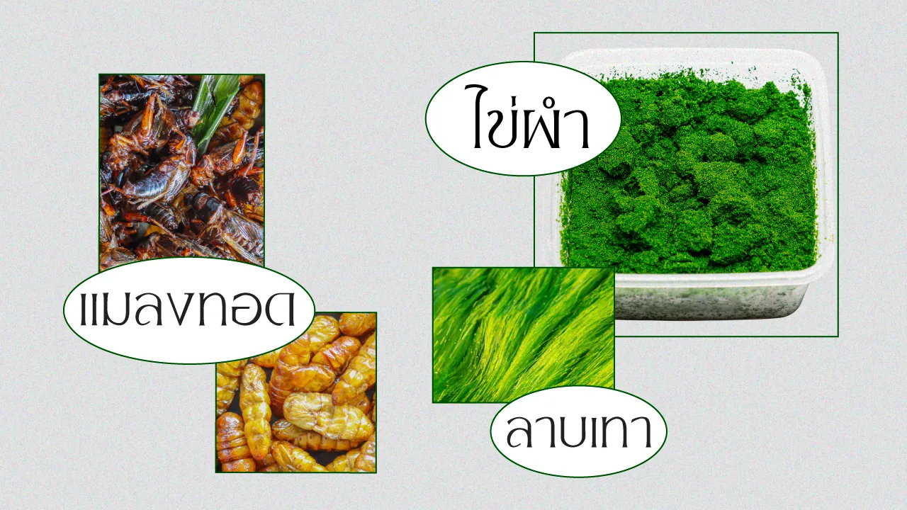 ไข่ผำ ลาบเทา แมลงทอด เมื่ออาหารพื้นบ้านกลายเป็น ‘Superfood’ ที่สะท้อนการมีอยู่ของอำนาจที่เหลื่อมล้ำ และการลบตัวตนของคนชนชั้นแรงงาน