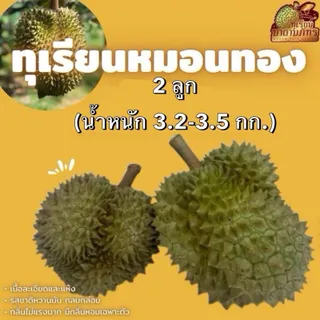 Thairat สวนมาดามภัทร ทุเรียนหมอนทอง 2 ลูก นน. 3.2-3.5 กก. เนื้อเนียน หวานมัน กลิ่นอ่อน เนื้อเยอะหนาแห้ง แก่แต่ดิบต้องบ่มก่อน 1-7 วัน