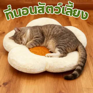 เบาะรองนอนสัตว์เลี้ยงดอกเดซี่ ที่นอนแมว ที่นอนสัตว์เลี้ยง เตียงแมว เบาะสัตว์เลี้ยง นุ่มสบาย ด้านล่างมีกันลื่น