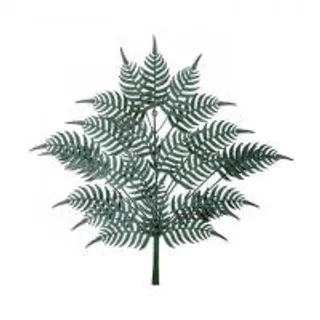 Chic Republic ของตกแต่งผนัง AMIRA สี เขียว (MKP1023798)