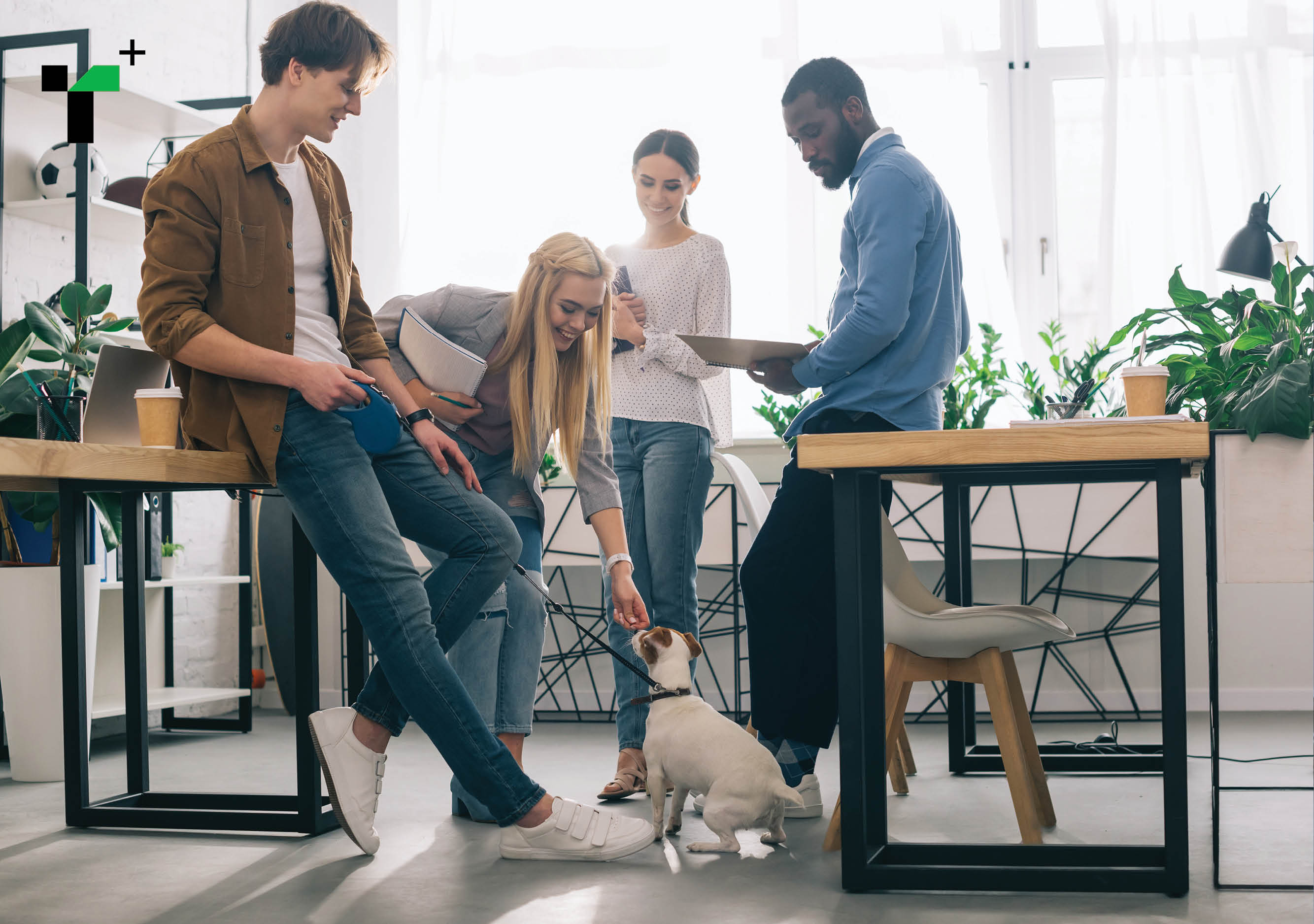 Pet-Friendly Workplaces Are On The Rise: Here's Where To Find Them