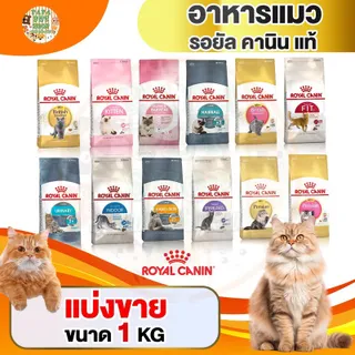 [แบ่งขายอันดับ1] Royal Canin อาหารแมวเกรดพรีเมียม แบ่งขาย 1 กก. มีให้เลือก 13 สูตร [EXP2025]