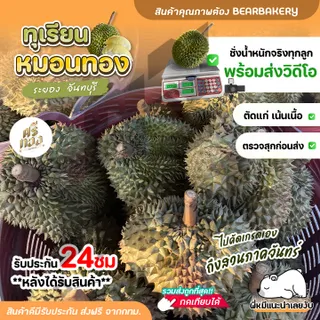 📌ทุเรียนหมอนทอง ระยอง จันทบุรี ตัดแก่จากสวน เนื้อแน่นทุกพู พร้อมวิดีโอชั่งน้ำหนักจริงทุกลูก! ศรีทอง bearbakery