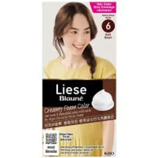 ลิเซ่โบลว์เน่ครีมมี่โฟมคัลเลอร์ดาร์คบราวน์ Liese Blaune Creamy Foam Color Dark Brown (4901301511287)