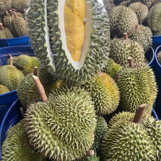 Thairat สวนทุเรียนมาดามภัทร ทุเรียนนกหยิบ หรือ นกกระจิบ นน.2.8-3 กก. จำนวน 1-2 ลูก บางกล่องได้ 1 ลูก บางกล่องได้ 2 ลูก ทุเรียนแก่แต่ดิบบ่มก่อนทาน 1-7 วัน