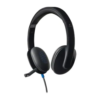 หูฟัง Logitech H540 USB Headphone