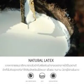 LUCKY MATTRESS ผ้าปูที่นอน ป้องกันไรฝุ่น Micro Touch ขนาด 3.5 ฟุต MC 010 สีขาว (MKP1390247)