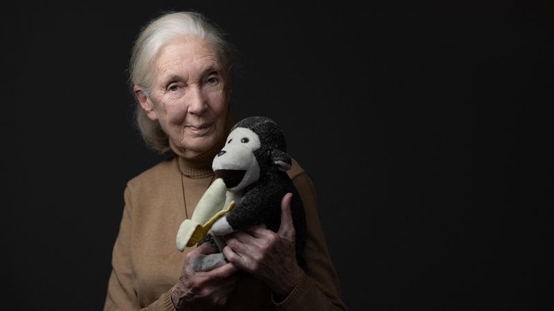 Jane Goodall  นักวานรวิทยาชื่อดังวัย 91 ปี ผู้จุดประกายความหวังการอนุรักษ์ จากไปอย่างสงบเมื่อวันที่ 1 ตุลาคม 2025